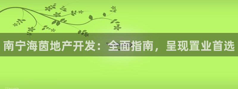 永利皮带型号
