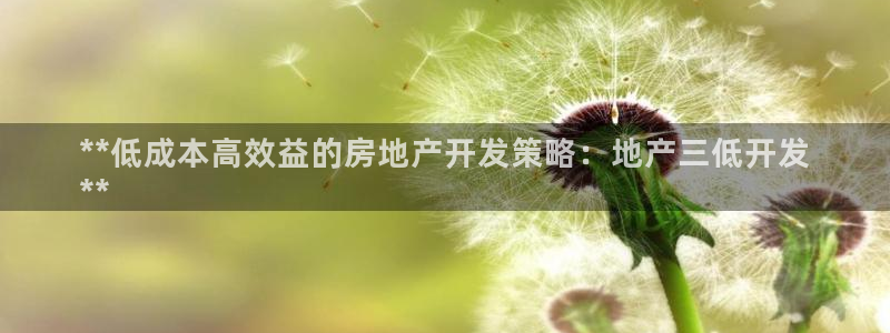 绍兴永利集团董事长