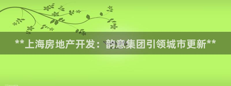 永利房地产开发有限公司总经理