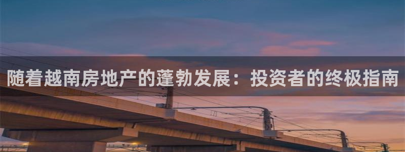 永利运动鞋是几几年出的