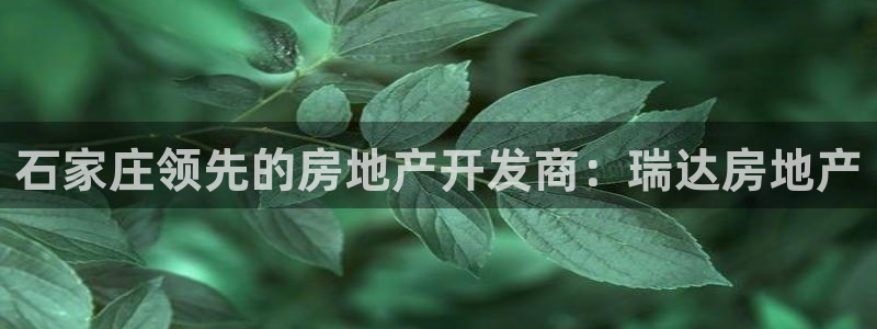 永利表行