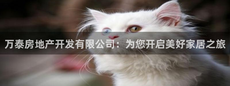 永利股份300230
