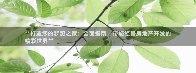 永利来织带