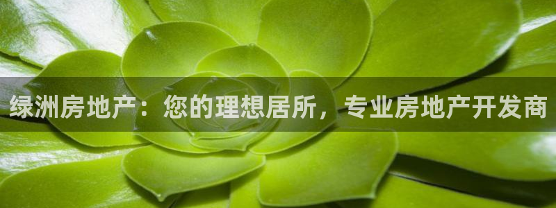 永利网是干什么的,能挣到钱吗知乎