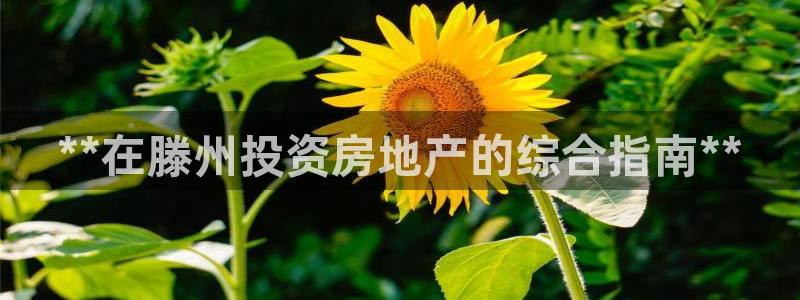 永利返利