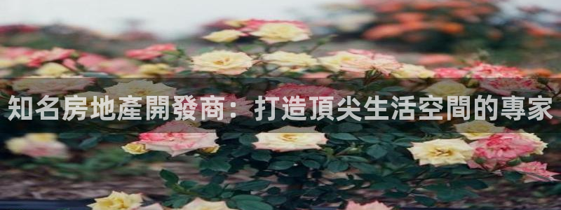 永利总裁