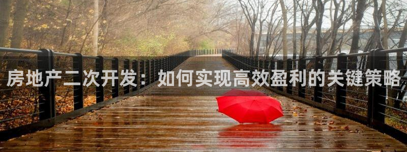忘了永利集团的网址了