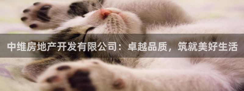 永利集团简介