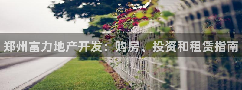 永利皮带官网价格查询系统