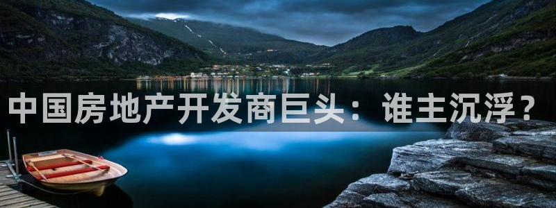 永利股份有限公司介绍