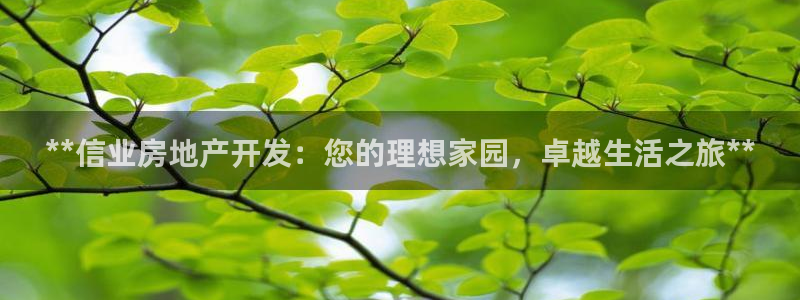 滨州永利集团