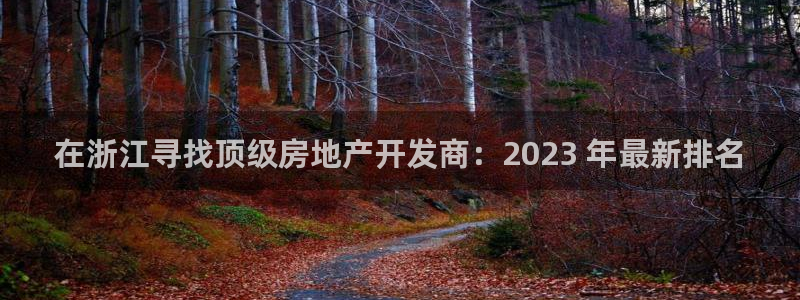 永利皮带型号说明图解