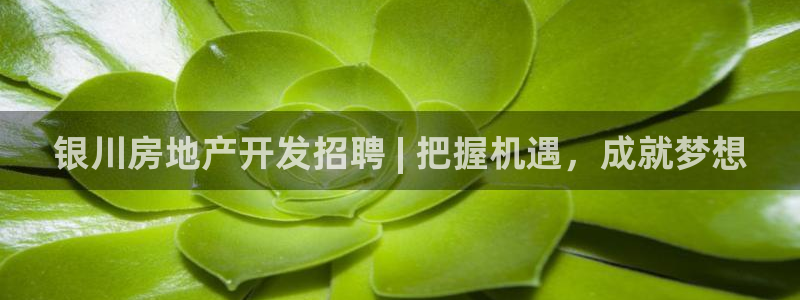 永利中国东北菜