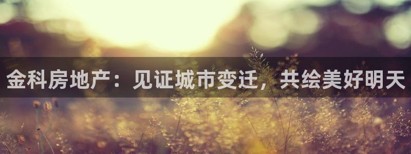 永利有限责任公司
