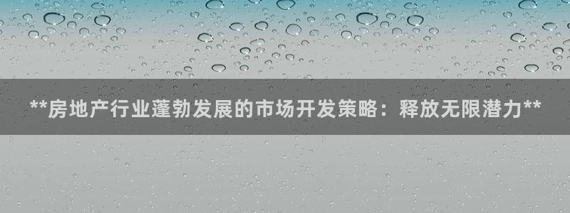 永利有限公司