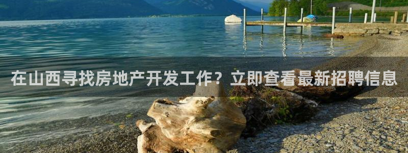 永利股份产品介绍