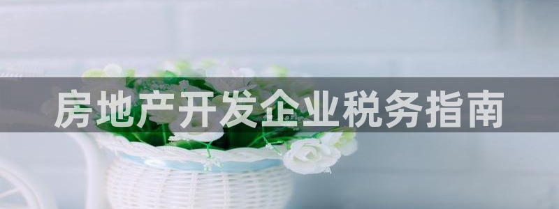 永利房地产开发有限公司