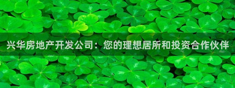 为什么永利网址打不开