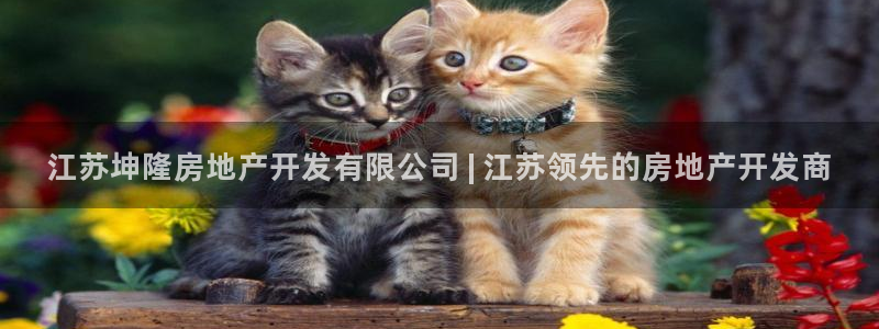 永利建筑材料有限责任公司
