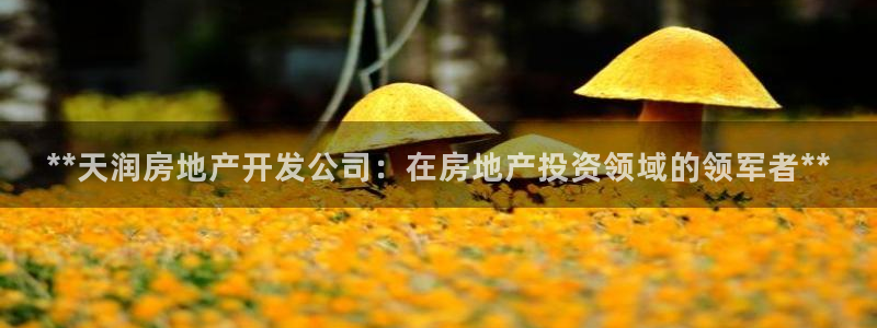澳门永利误乐城图片