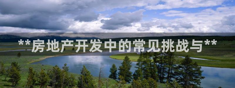 永利玩法
