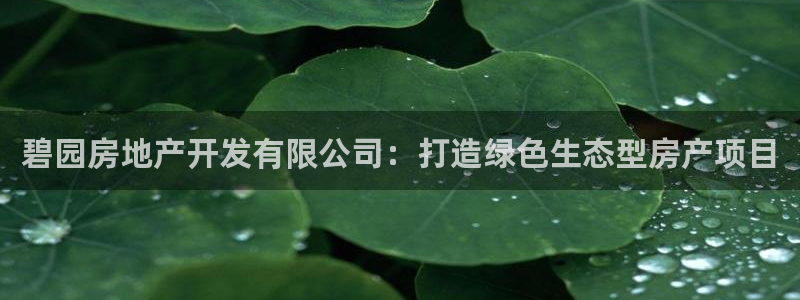 永利鞋业有限公司