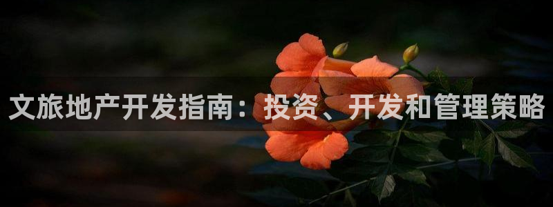 永利制衣