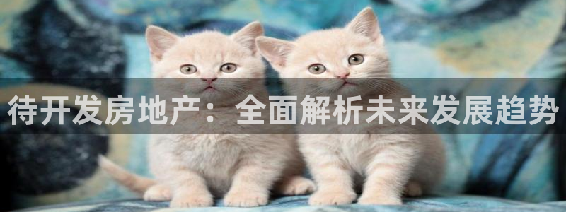 永利表行的手表是正品吗