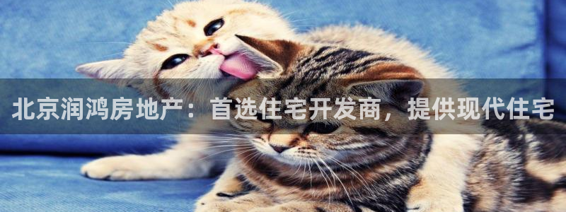 谁知道永利的网址是多少