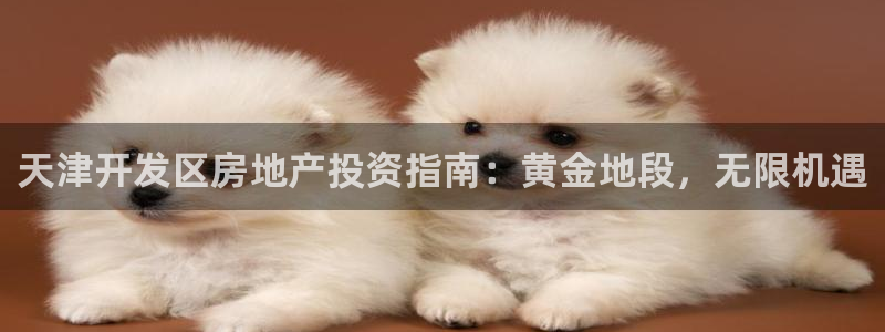 永利制带