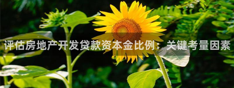 永利正版