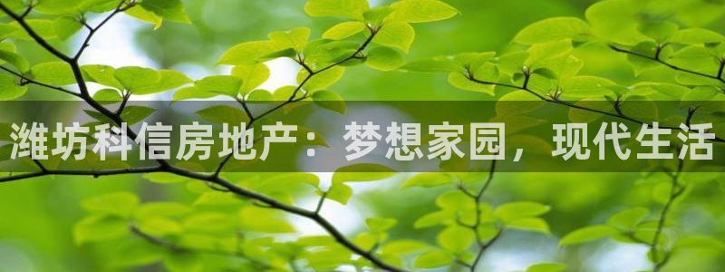 鄂尔多斯永利煤矿简介